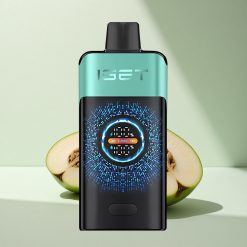 IGET ONE 12000 Puffs Gebirgsquellen-Minz-Eis Dual Mesh Curved Screen