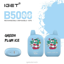 IGET Sale - b5000 8BTV311 grünes Pflaumeneis