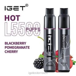 IGET Sale - Es wird heiß - 5500 Züge 8BTV466 Brombeere