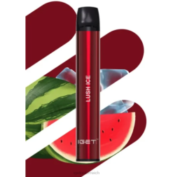 IGET Sale - shion - 600 Züge 8BTV461 üppiges Eis