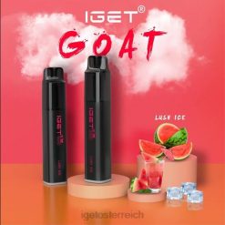 IGET Sale - Ziege - 5000 Züge 8BTV447 üppiges Eis