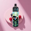 JNR Alien Max 18000 Blaubeere Himbeere Dual Mesh Typ-C
