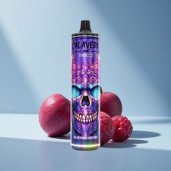 JNR Calavera 11000 Blau-Himbeer-Kirsche Typ-C 850mAh 21ml