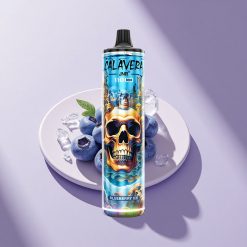 JNR Calavera 11000 Blaubeereis Typ-C 850mAh 21ml