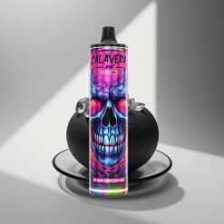 JNR Calavera 11000 Schwarzer Drache Eis Typ-C 850mAh 21ml