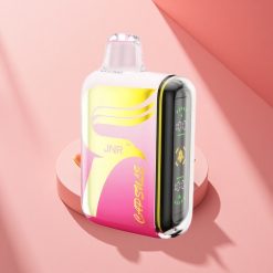 JNR Capsule 15000 Erdbeer-Wassermelone-Eis 20ml Dual Mesh 850mAh