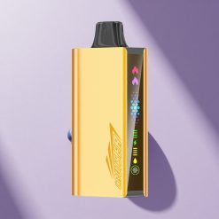 JNR Cruiser 12000 Blaubeer-Explosion 3500mAh Dual-Mesh