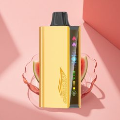 JNR Cruiser 12000 Wassermelone Eis 3500 mAh Dual Mesh