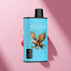JNR EAGLE Smart 23000 Blaubeer-Sauer-Himbeer Digital Typ-C 25ml