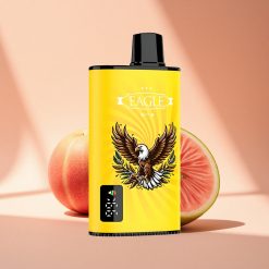 JNR EAGLE Smart 23000 Pfirsich-Mango-Wassermelone Digital-Bildschirm 750mAh Typ-C