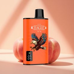 JNR EAGLE Smart 23000 Saftige Pfirsiche Digital Bildschirm Verstellbare Luftzufuhr
