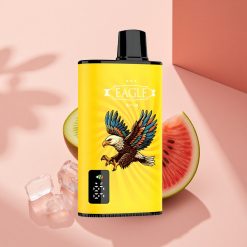 JNR EAGLE Smart 23000 Wassermelone-Kiwi-Eis mit Digitaldisplay und 25ml Flüssigkeitskapazität