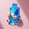 JNR Falcon 16000 Blaubeere Granatapfel Eis Dual Mesh 22ml LED