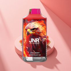 JNR Falcon 16000 Erdbeer-Wassermelone-Eis Dual Mesh Typ-C