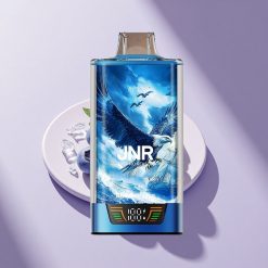 JNR Falcon Pro 28000 Blaubeer-Eis Dual Mesh 30ml 950mAh
