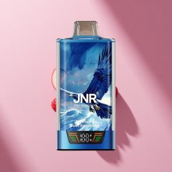 JNR Falcon Pro 28000 Blaubeer-Sauer-Himbeer Dual-Mesh 30ml 950mAh