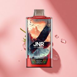 JNR Falcon Pro 28000 Erdbeer-Eis Pro 28000 Dual Mesh USB-C