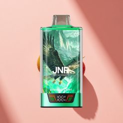 JNR Falcon Pro 28000 Erdbeer-Kiwi Dual Mesh 30ml 950mAh