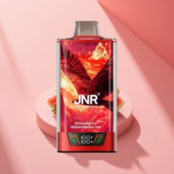 JNR Falcon Pro 28000 Erdbeer-Wassermelone-Eis mit 30ml und Dual Mesh Coil