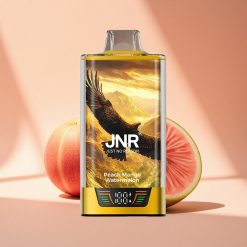 JNR Falcon Pro 28000 Pfirsich Mango Wassermelone 30ml 950mAh Dual Mesh
