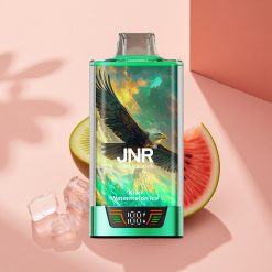 JNR Falcon Pro 28000 Wassermelone-Kiwi-Eis mit Smart Display und Dual-Mesh-Coil