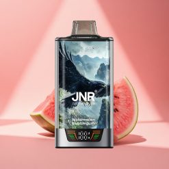 JNR Falcon Pro 28000 Wassermelonen-Kaugummi Dual Mesh 30ml Smart