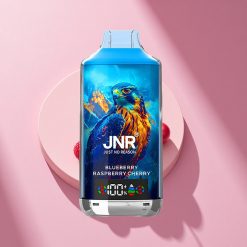 JNR Falcon X 18000 Blaubeere Himbeere Kirsche 750mAh Dual Mesh Digital Type-C