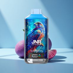 JNR Falcon X 18000 Blaue Himbeere Eis Dual Mesh 750mAh Typ-C