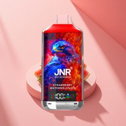 JNR Falcon X 18000 Erdbeer-Wassermelone-Eis 24ml Dual Mesh Digital Typ-C