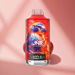 JNR Falcon X 18000 Kirsche Vernunft Dual Mesh 24ml Digital