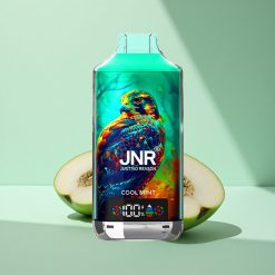 JNR Falcon X 18000 Kühle Minze Dual Mesh 750mAh Typ-C