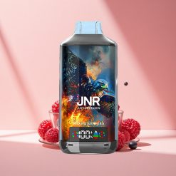 JNR Falcon X 18000 Mischbeeren 18000 Züge Dual Mesh Coil Digital Display Typ-C