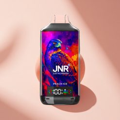 JNR Falcon X 18000 Pfirsich Eis Dual Mesh 750mAh Typ-C