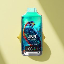 JNR Falcon X 18000 Zitronenlimette Digital Typ-C Dual Mesh 750mAh 24ml
