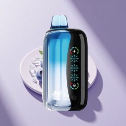 JNR Flex Ice 21000 Blaubeer-Eis Dual Mesh Typ-C Anpassbar