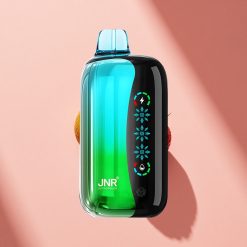 JNR Flex Ice 21000 Erdbeer-Kiwi Eis-Einstellbar Typ-C Dual-Mesh