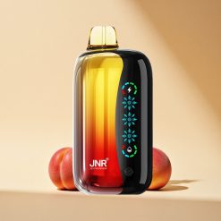 JNR Flex Ice 21000 Pfirsich-Mango-Ananas mit anpassbarer Eis und Typ-C-Ladung