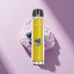 JNR Gold380 6000 Blaubeer Auf Eis 1500mAh Mesh