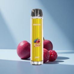 JNR Gold380 6000 Blaue Himbeer-Kirsche 1500mAh Mesh 13ml