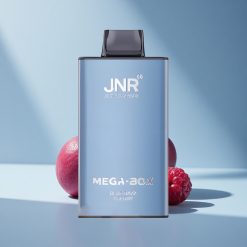 JNR Mega Box 25000 Blau-Razz-Kirsche Dual Mesh & Typ-C Ladung