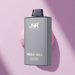 JNR Mega Box 25000 Blaubeer-Kaugummi Dual Mesh 850mAh Typ-C