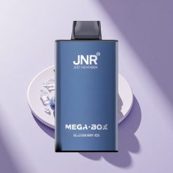 JNR Mega Box 25000 Blaubeereis Dual-Mesh Typ-C