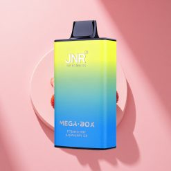 JNR Mega Box 25000 Erdbeer-Himbeer-Eis Dual Mesh 850mAh Typ-C