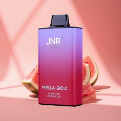 JNR Mega Box 25000 Himbeer-Wassermelone Dual Mesh & Typ-C Schnellladung
