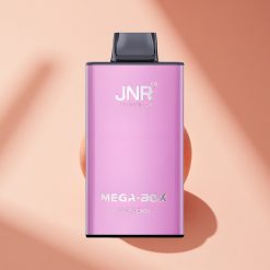 JNR Mega Box 25000 Saftiger Pfirsich Dual Mesh & Typ-C Schnellladung