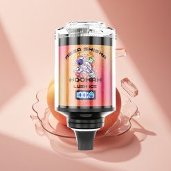 JNR Mega Shisha Hookah 100K Frischer Eisgeist mit 2200mAh und Typ-C-Ladung