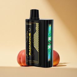 JNR Radiance 31000 Pfirsich Mango Ananas Dual Mesh Coil Type-C