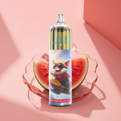 JNR Rocket-X 12400 Wassermelone-Eis mit RGB-Lichtern und Typ-C-Schnellladung