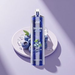 JNR Shisha Hookah 12000 Blaubeer-Eis Typ-C Schnellladung 24ml