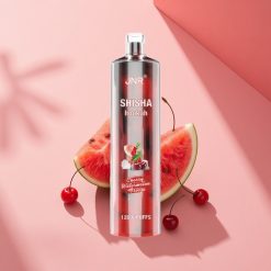 JNR Shisha Hookah 12000 Kirsch-Wassermelonen-Eis mit 750mAh und Typ-C-Ladung